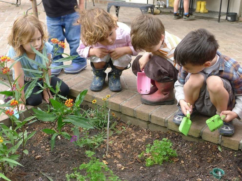 La mallette pour créer un potager